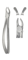 Tooth Forceps for upper Mullers 