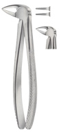 Tooth Forceps for Lower Roots Separating Forceps